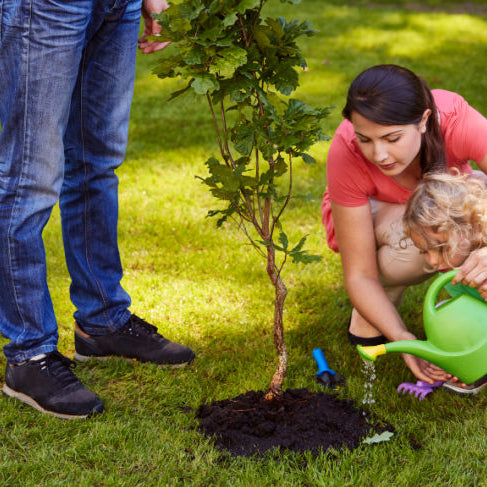 eco friendly burial