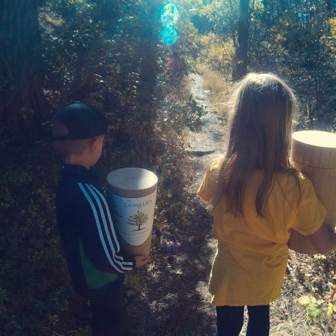 The Importance of The Biodegradable Urn Provided By Denver-Based Living Urn