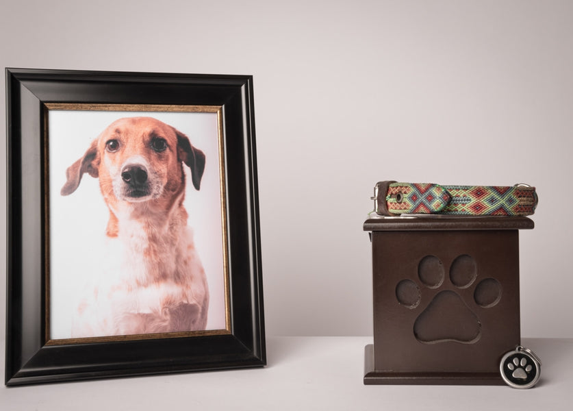 Pet hot sale cremation options