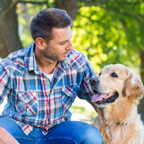 dog ashes