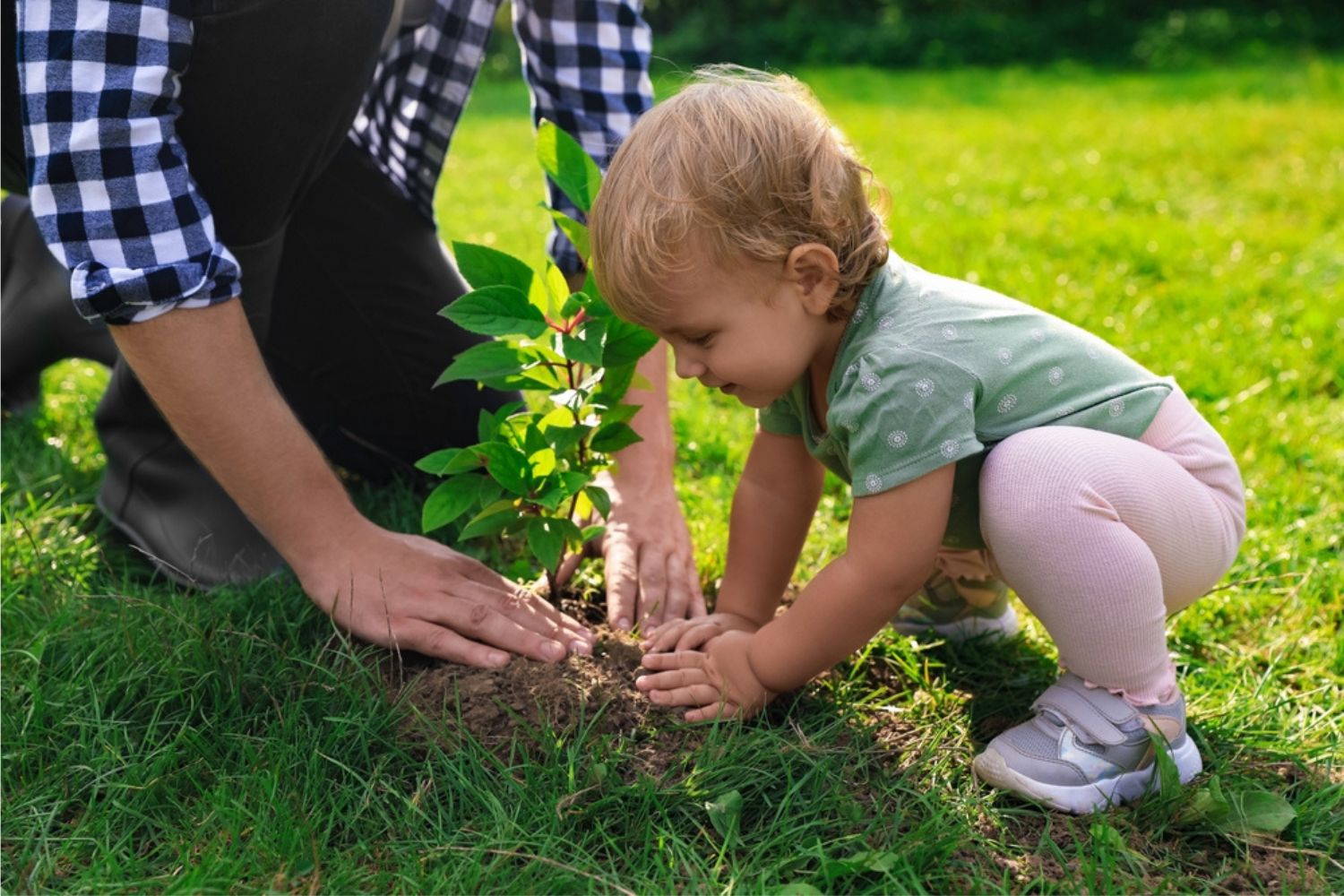 father and daughter plating tree