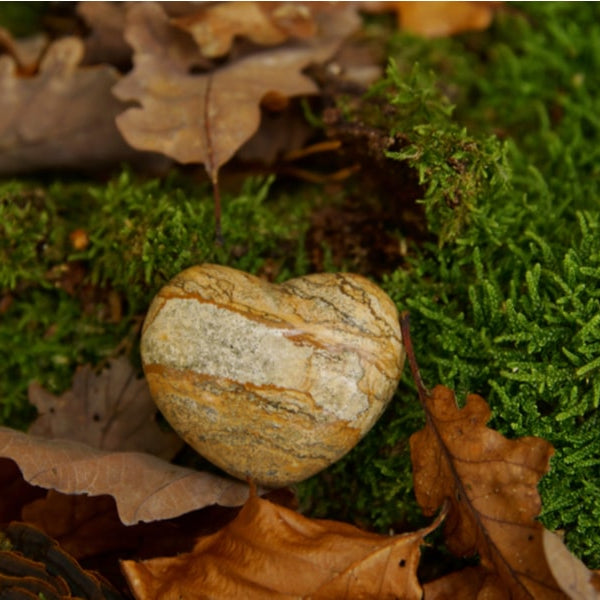 a rock amongst leaves to show a green funeral 