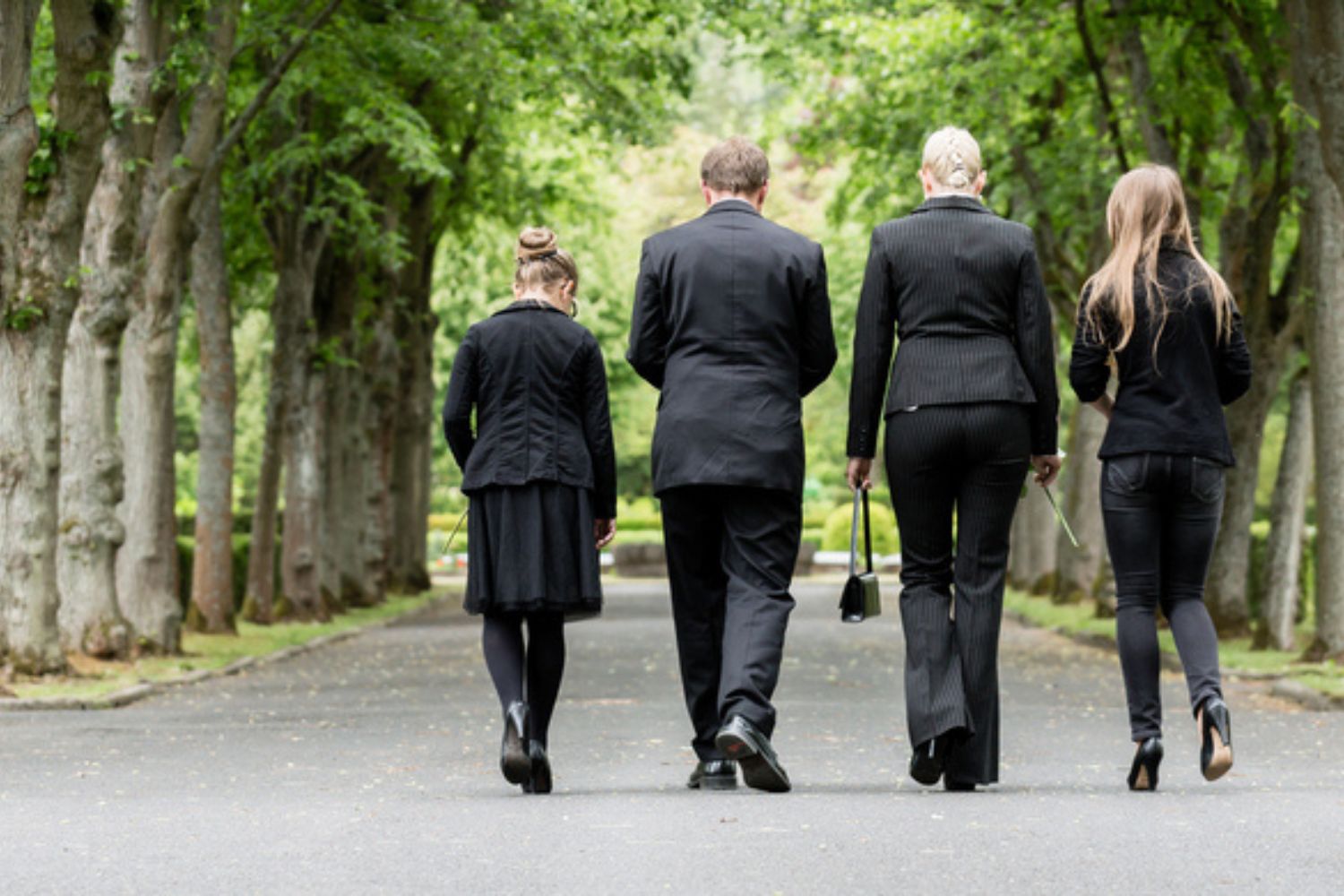 family walking down a path between trees