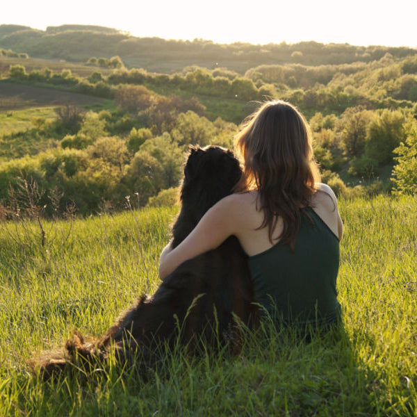 Choosing a Dog Urn for Your Pet After They Cross the Rainbow Bridge