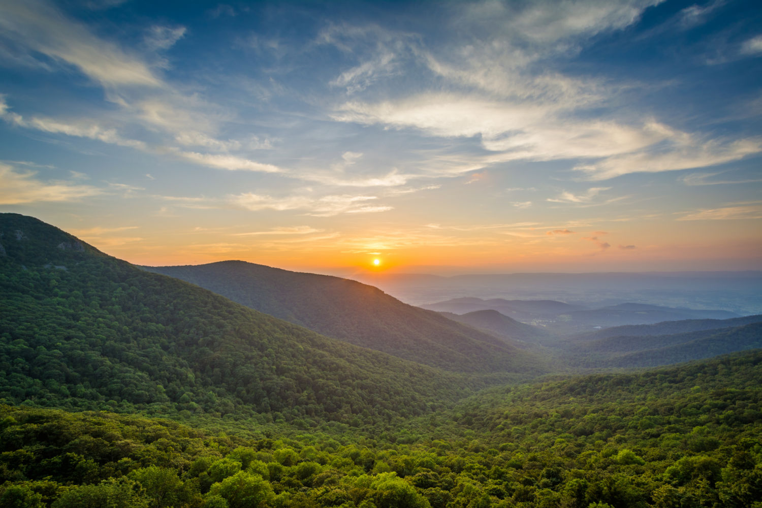 scattering ashes Virginia